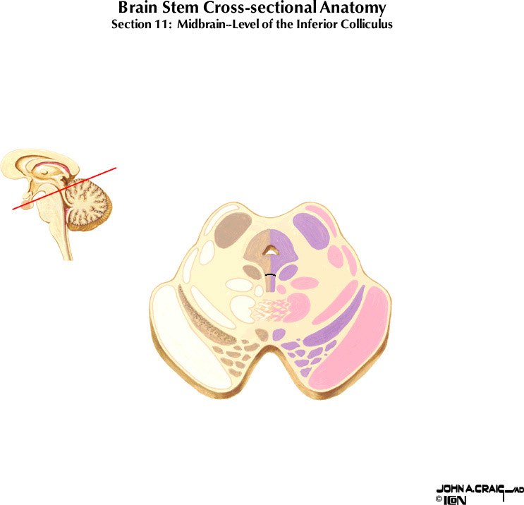 %_tempFileNameFigureII.63.11%