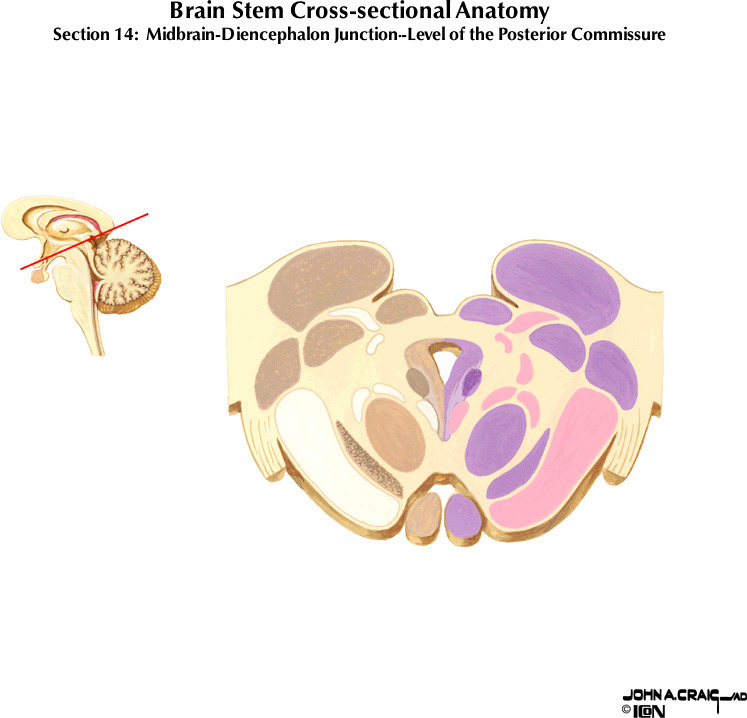 %_tempFileNameFigureII.63.14%