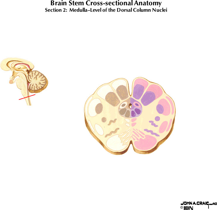 %_tempFileNameFigureII.63.2%