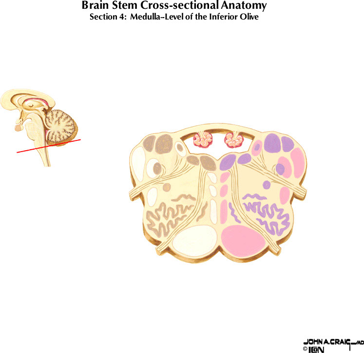 %_tempFileNameFigureII.63.4%