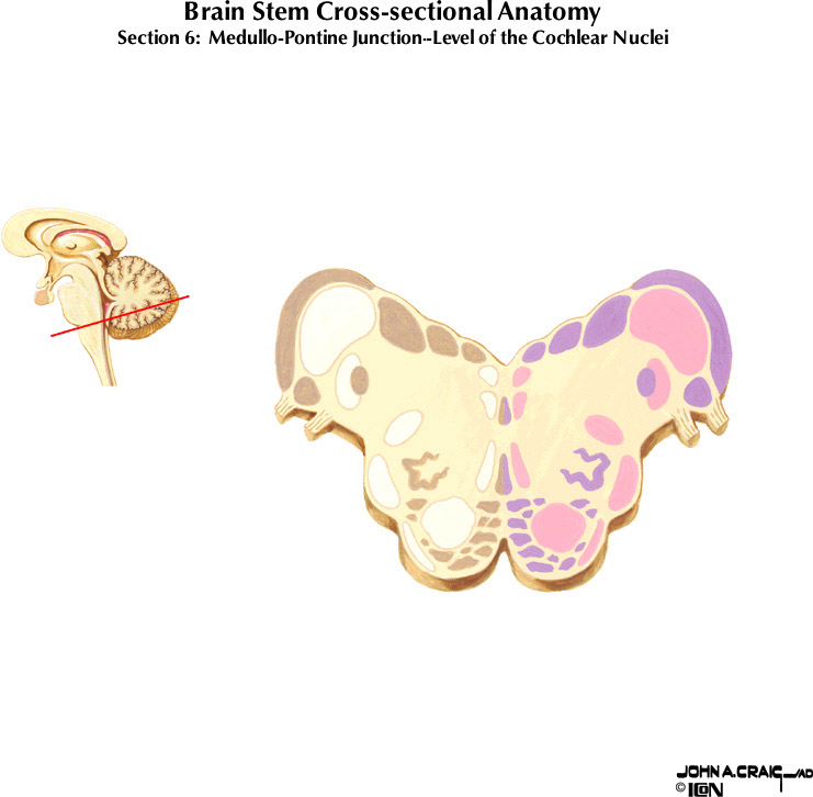 %_tempFileNameFigureII.63.6%