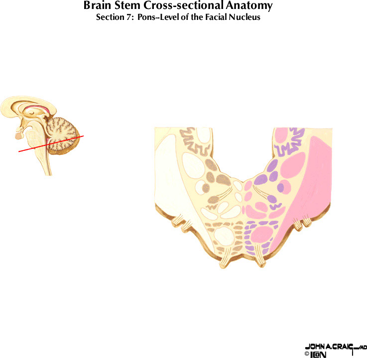 %_tempFileNameFigureII.63.7%