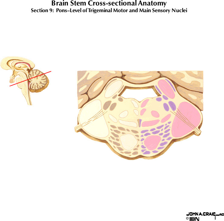 %_tempFileNameFigureII.63.9%