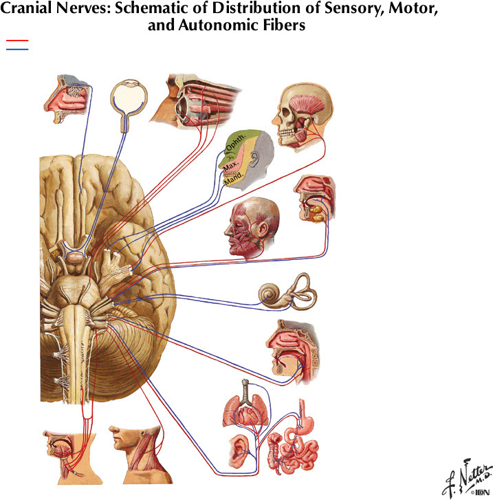 %_tempFileNameFigureII.64%