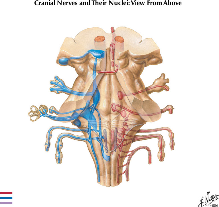 %_tempFileNameFigureII.65%