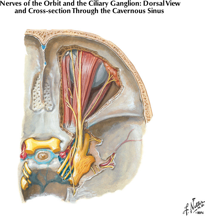 %_tempFileNameFigureII.66A%