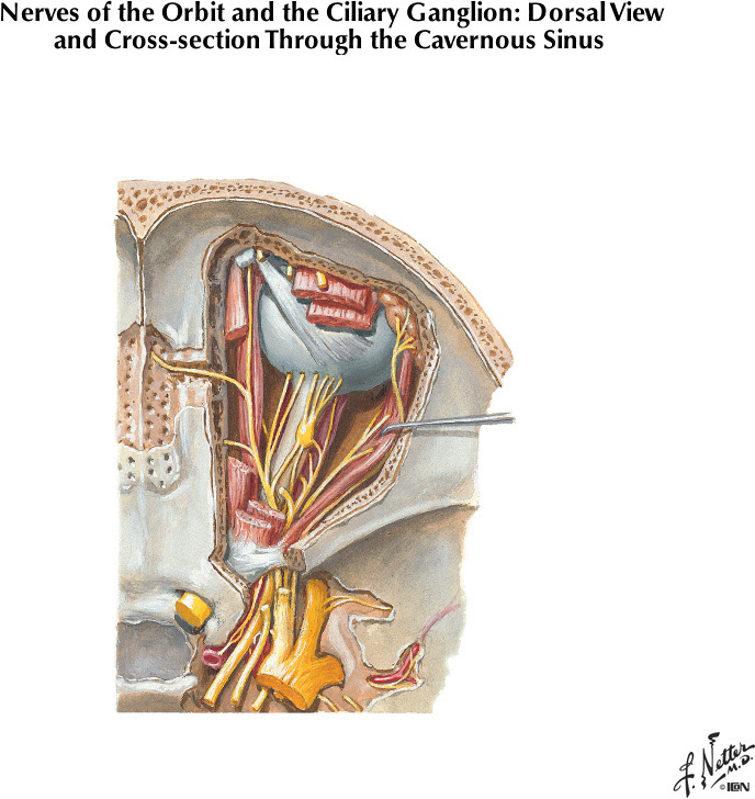 %_tempFileNameFigureII.66B%