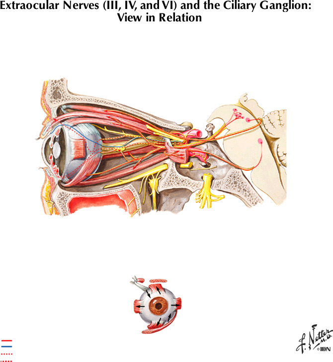 %_tempFileNameFigureII.67%