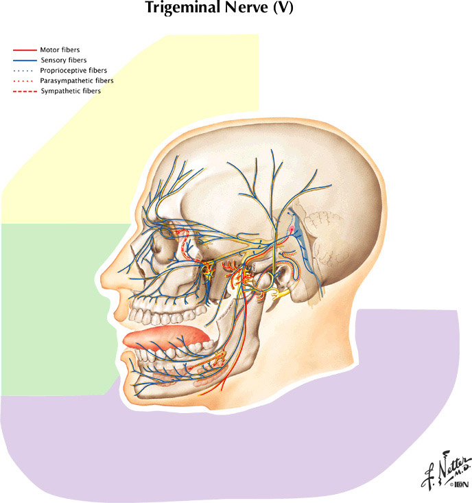 %_tempFileNameFigureII.68%
