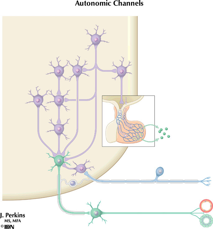 %_tempFileNameFigureII.7%