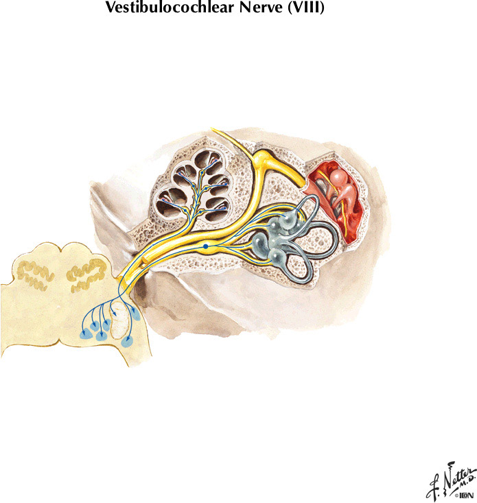 %_tempFileNameFigureII.70%