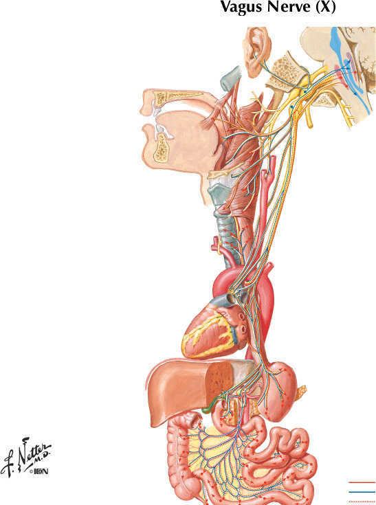%_tempFileNameFigureII.72%