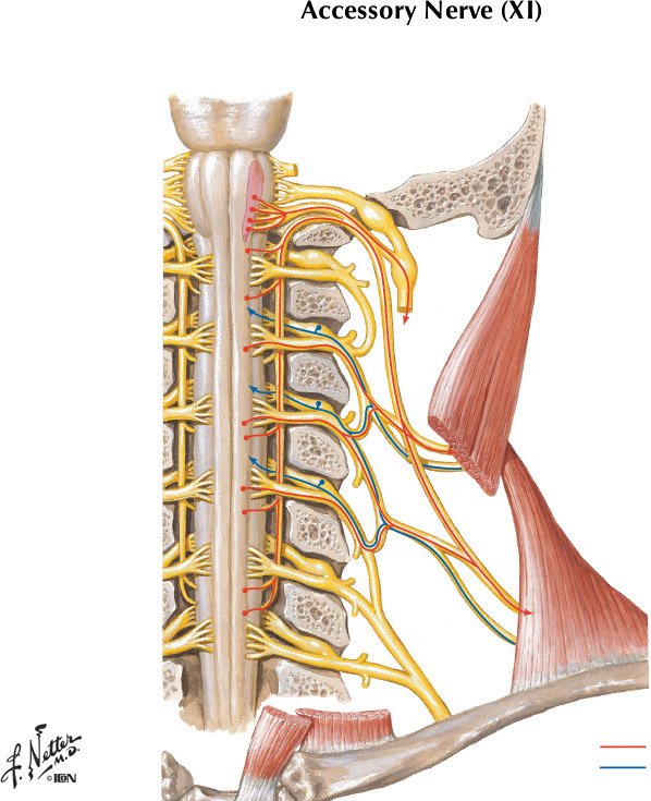 %_tempFileNameFigureII.73%