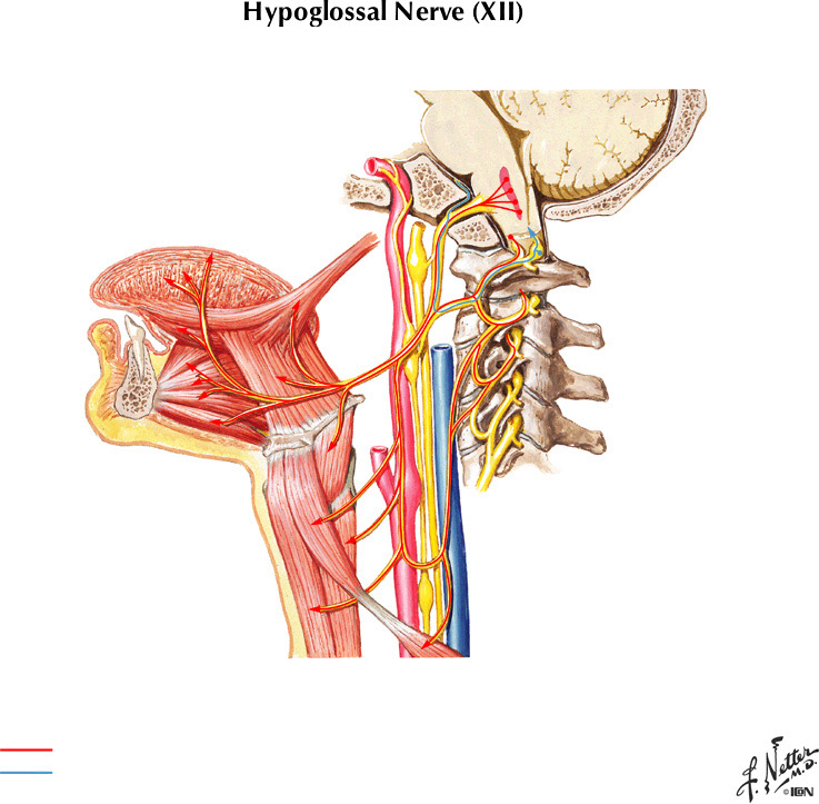 %_tempFileNameFigureII.74%