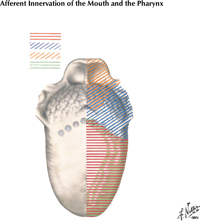 %_tempFileNameFigureII.75C%