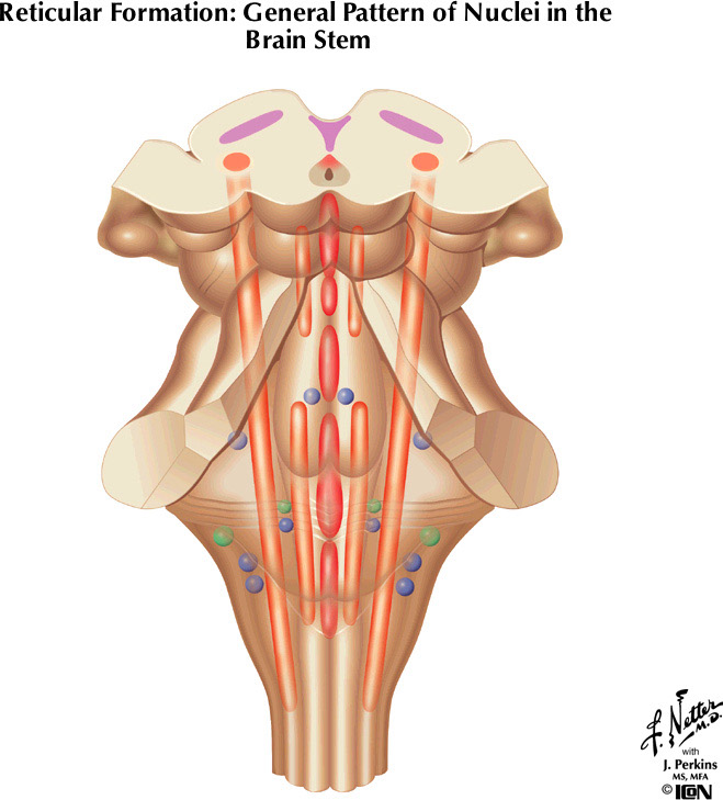 %_tempFileNameFigureII.76%