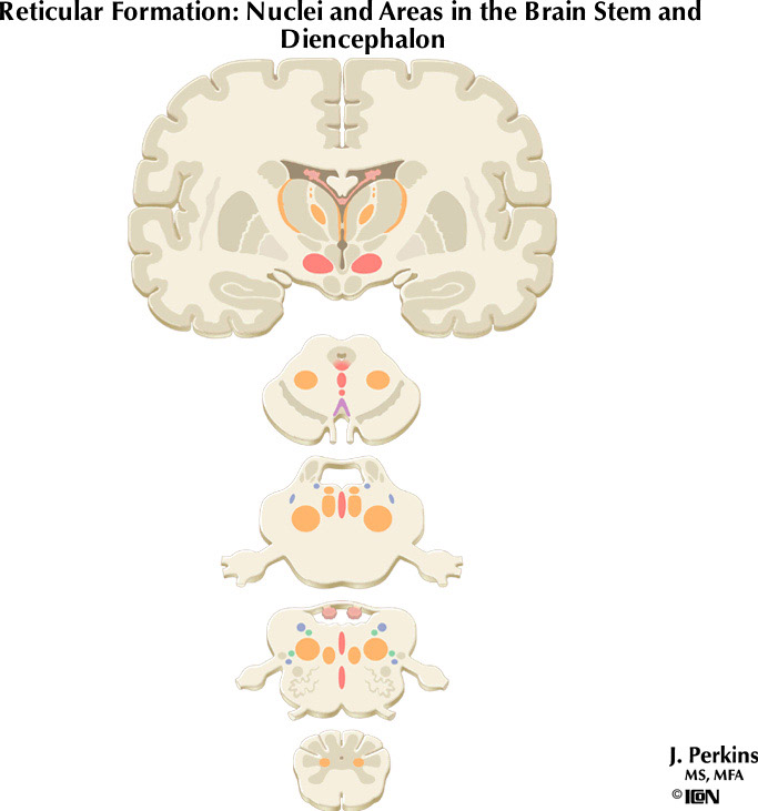 %_tempFileNameFigureII.77%