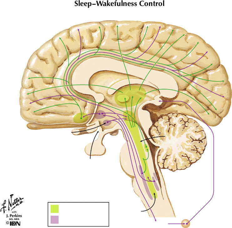 %_tempFileNameFigureII.80%