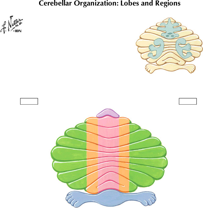 %_tempFileNameFigureII.81%