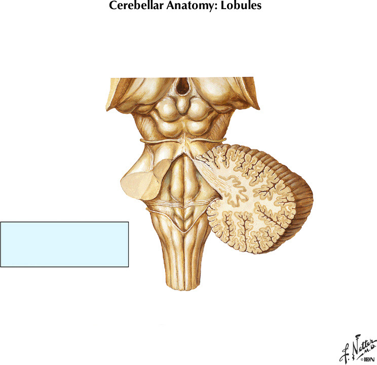 %_tempFileNameFigureII.82A%