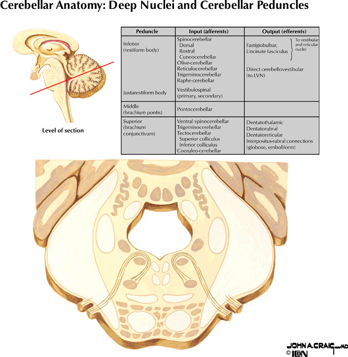 %_tempFileNameFigureII.83%