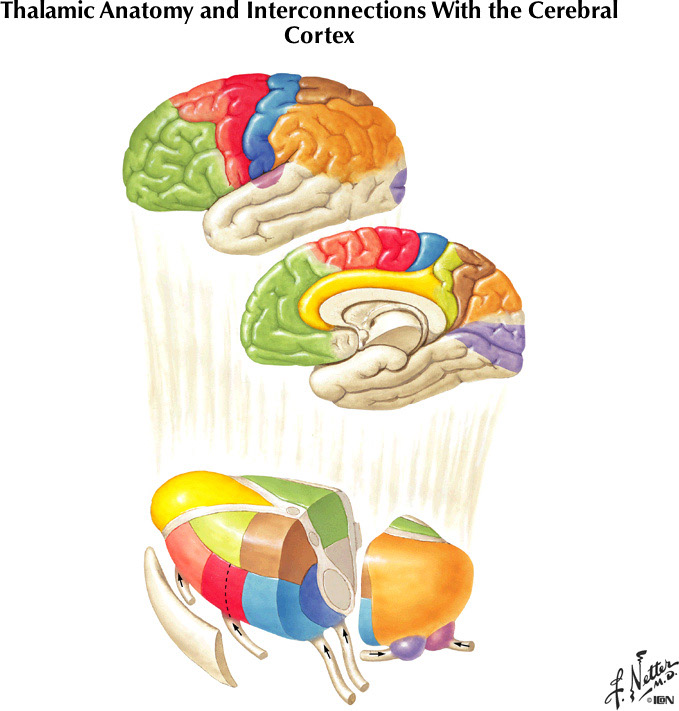 %_tempFileNameFigureII.84%