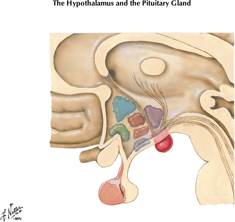 %_tempFileNameFigureII.85A%