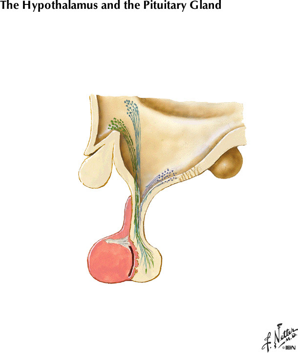 %_tempFileNameFigureII.85B%