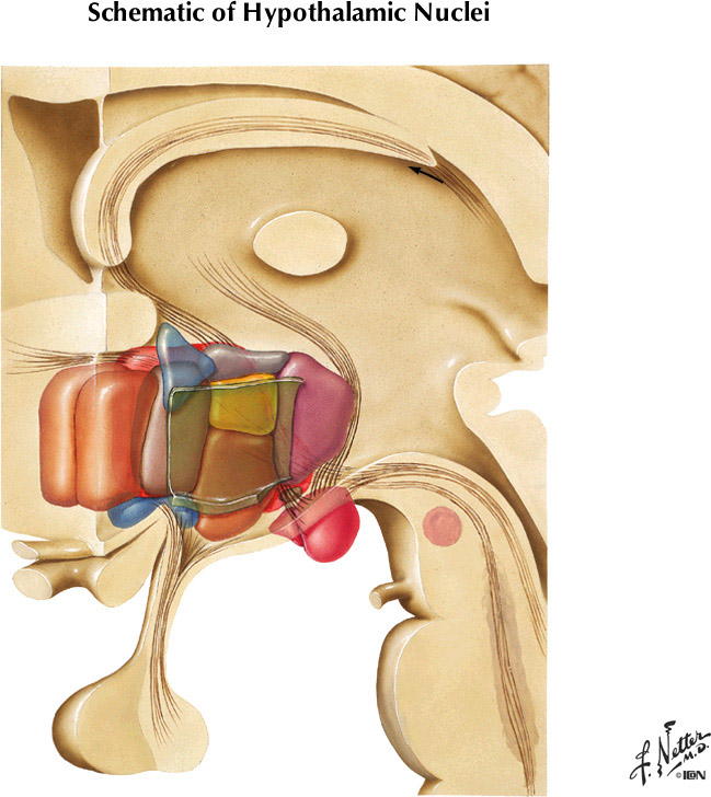 %_tempFileNameFigureII.86%