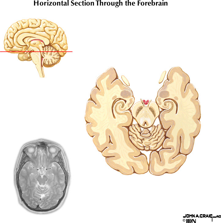%_tempFileNameFigureII.87.3%