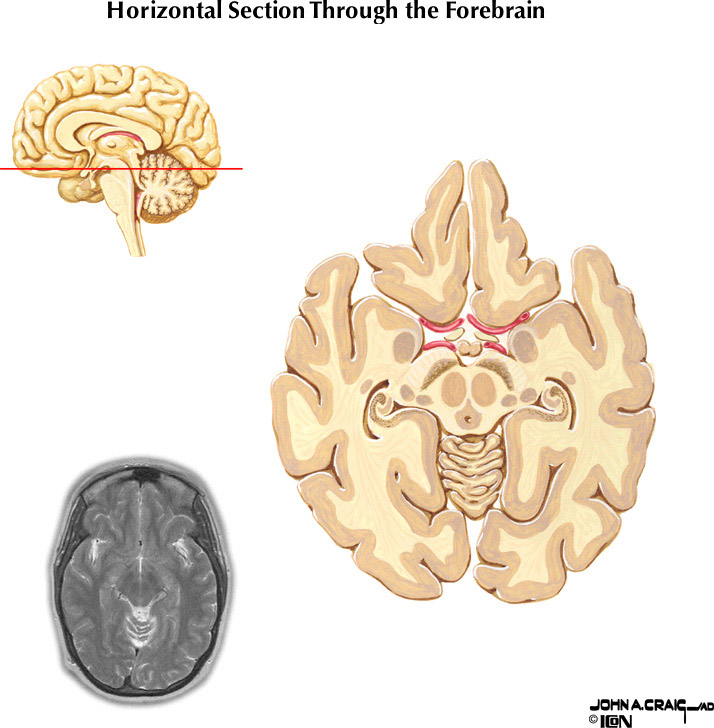 %_tempFileNameFigureII.87.4%