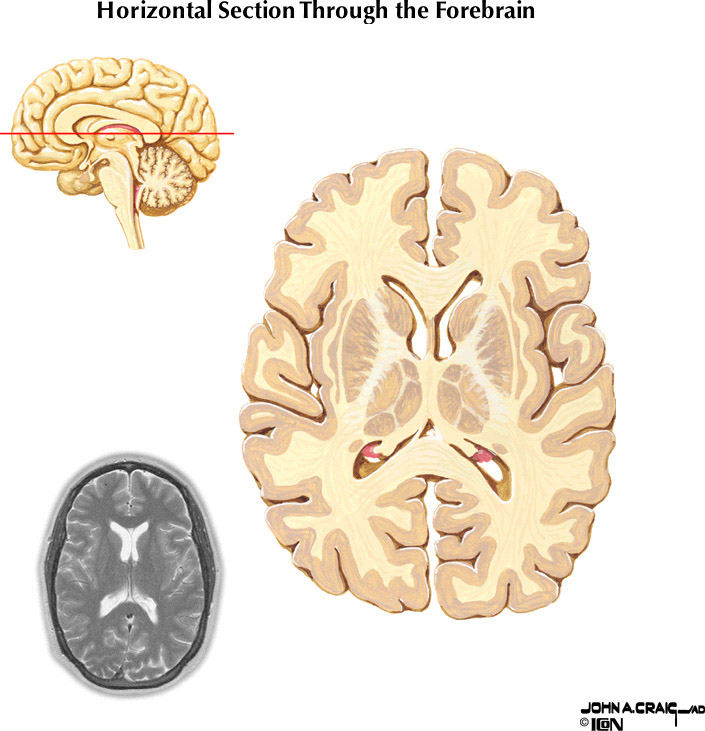%_tempFileNameFigureII.87.7%