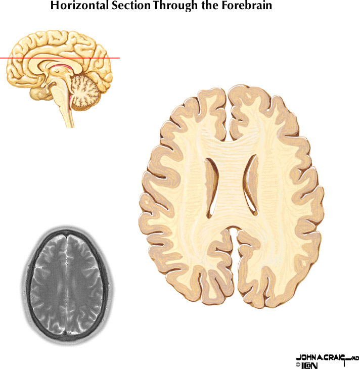 %_tempFileNameFigureII.87.9%