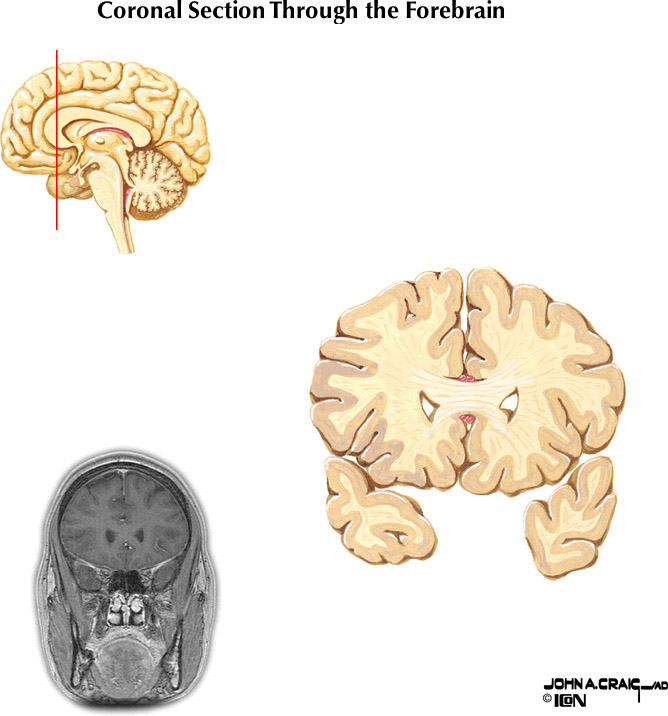 %_tempFileNameFigureII.88.1%