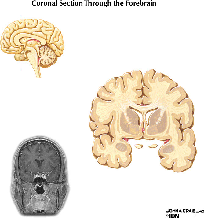 %_tempFileNameFigureII.88.2%