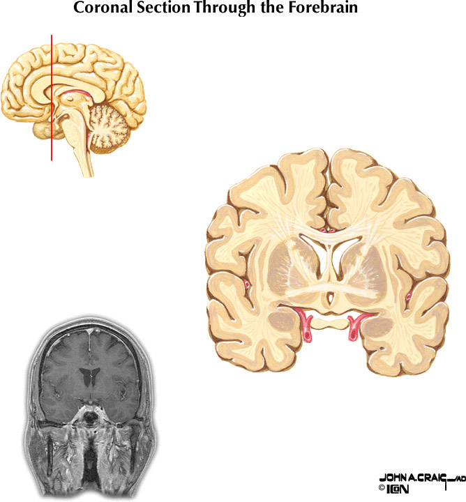 %_tempFileNameFigureII.88.3%