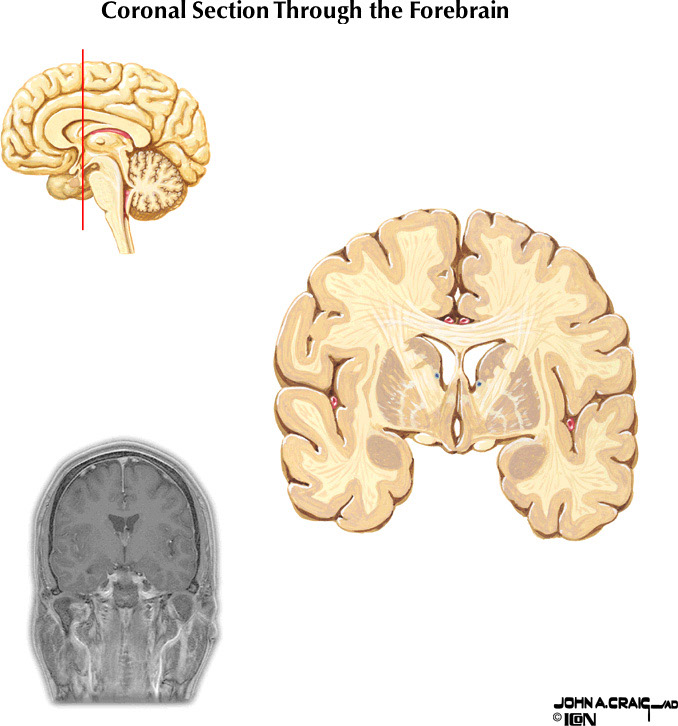 %_tempFileNameFigureII.88.4%