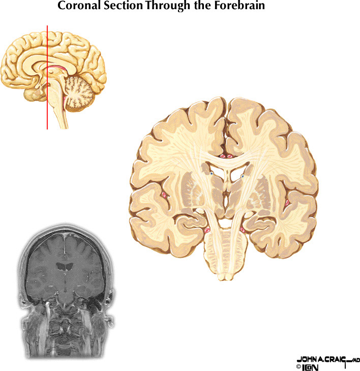 %_tempFileNameFigureII.88.5%