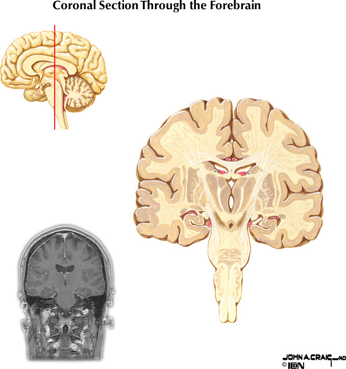 %_tempFileNameFigureII.88.6%