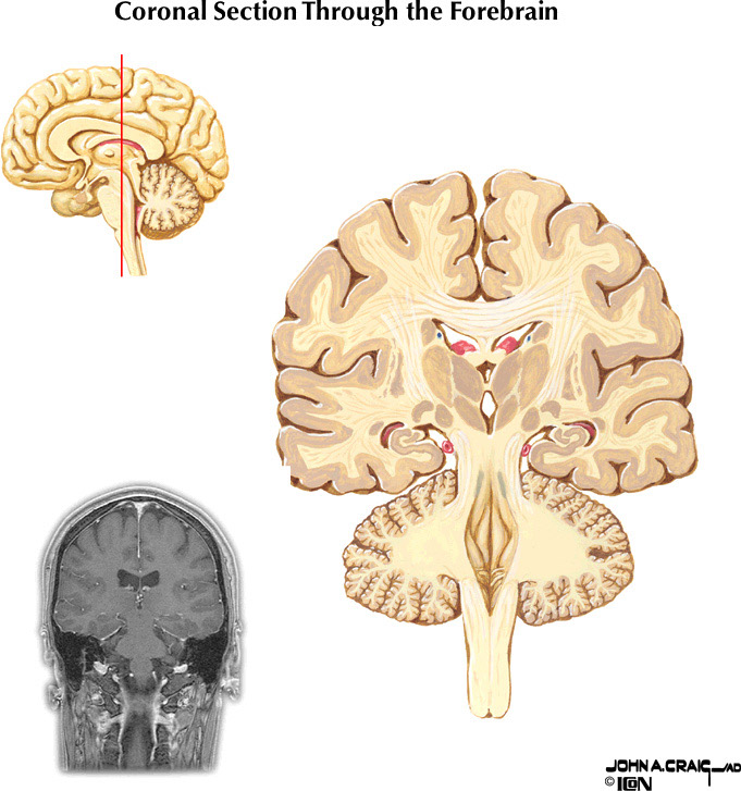 %_tempFileNameFigureII.88.7%