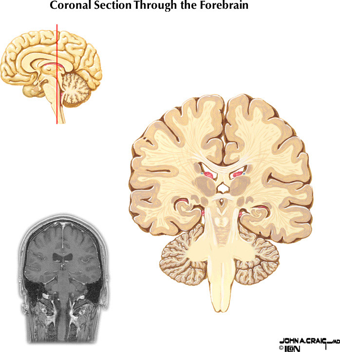 %_tempFileNameFigureII.88.8%