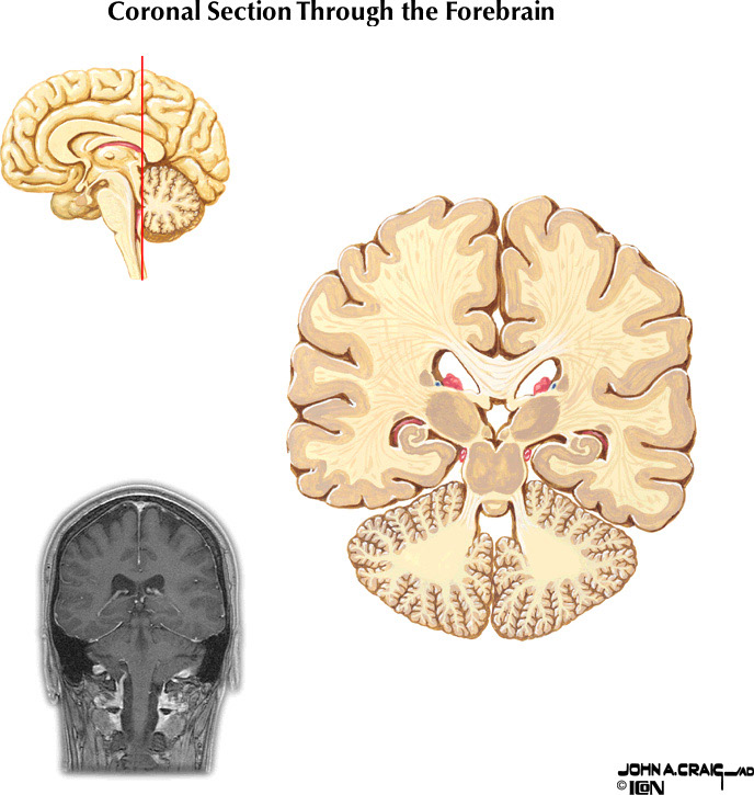 %_tempFileNameFigureII.88.9%