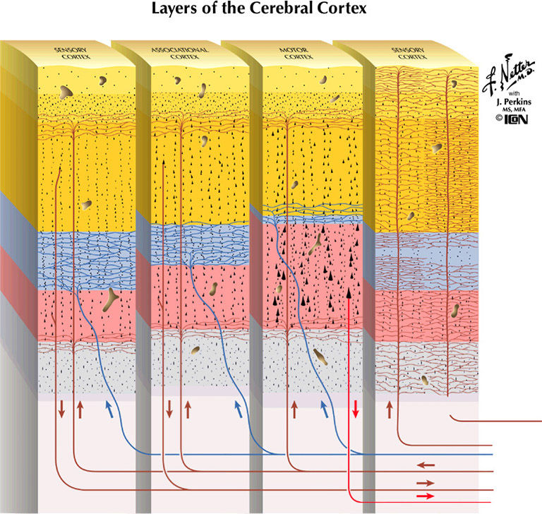 %_tempFileNameFigureII.89%