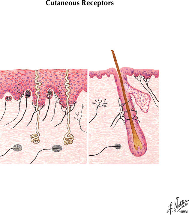 %_tempFileNameFigureII.8A%