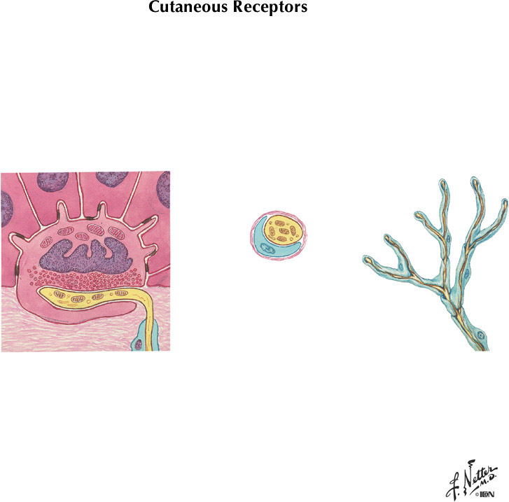 %_tempFileNameFigureII.8B%