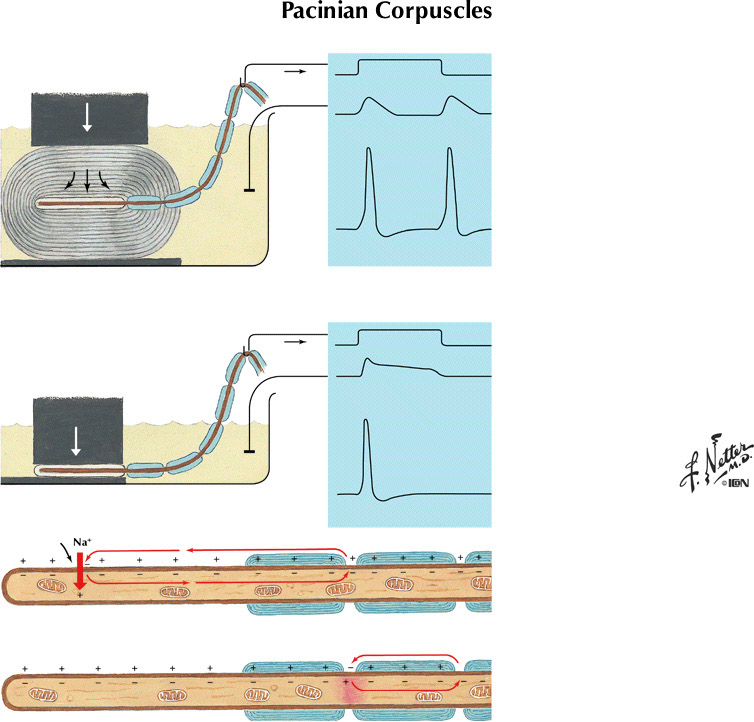 %_tempFileNameFigureII.9%
