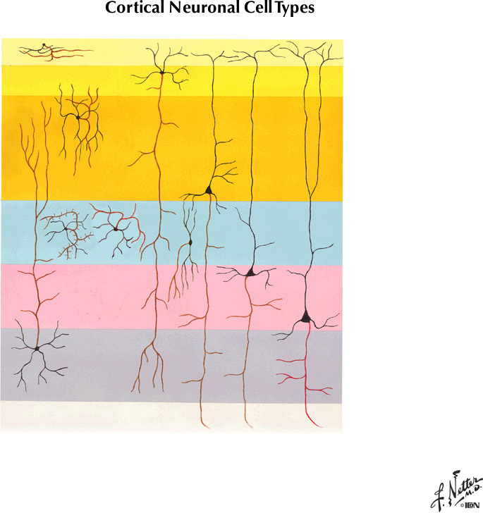 %_tempFileNameFigureII.90%