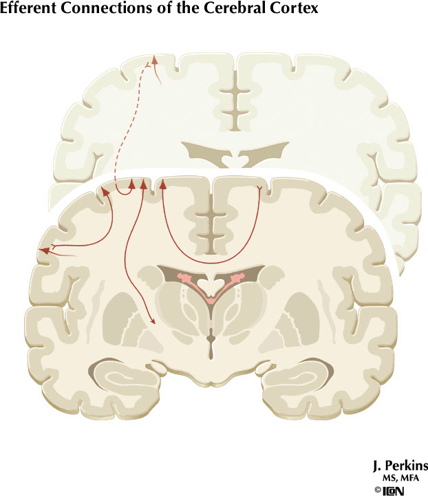 %_tempFileNameFigureII.92%