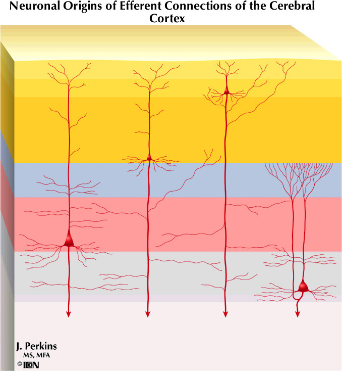 %_tempFileNameFigureII.93%