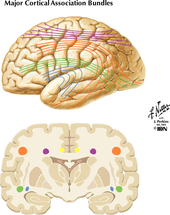 %_tempFileNameFigureII.95%